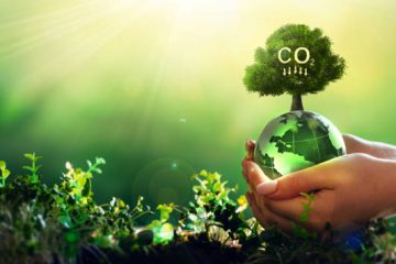 Indigo acelera remoção de carbono do solo em nova colaboração com a Microsoft
