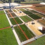 Open Field Day 2025 começa na próxima quarta-feira (25/06) e destaca lançamentos e tecnologias para horticultura