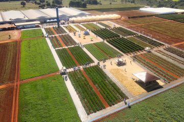 Open Field Day 2025 começa na próxima quarta-feira (25/06) e destaca lançamentos e tecnologias para horticultura
